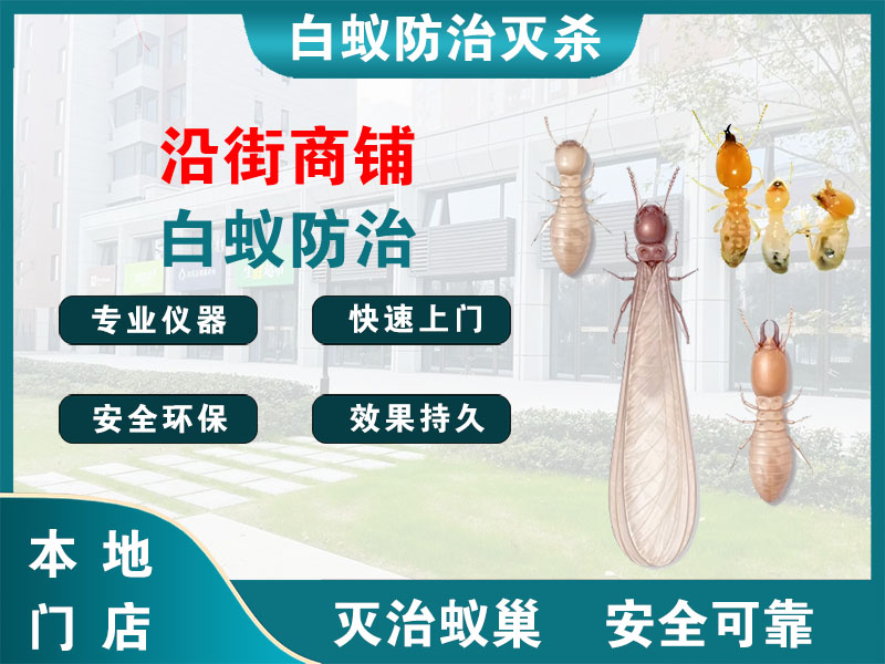 建德市沿街商铺白蚁防治