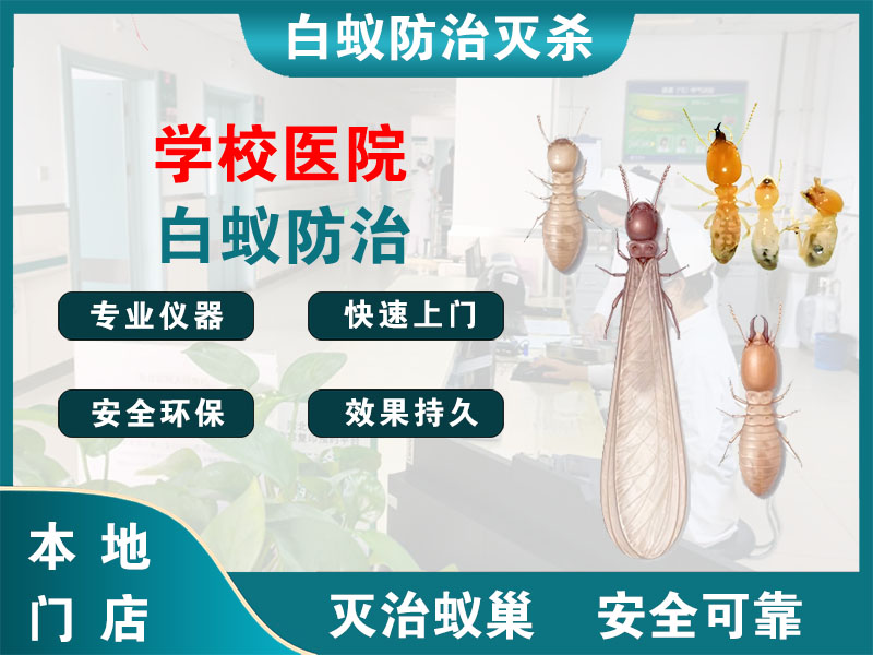 建德市学校医院白蚁防治