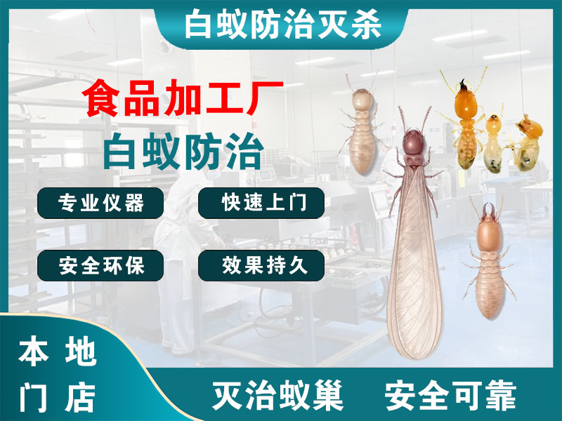 建德市食品加工厂白蚁防治