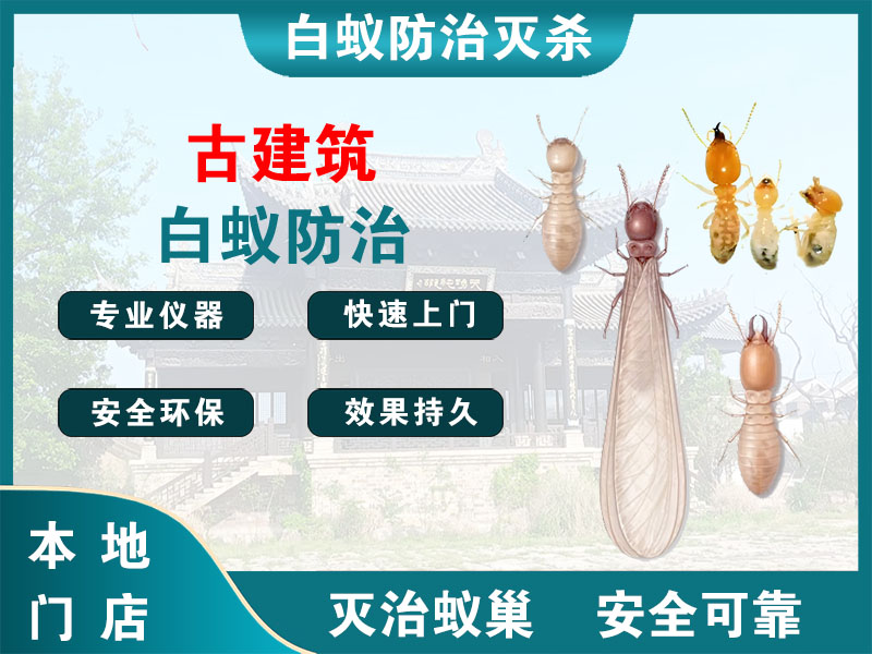 建德市古建筑白蚁防治