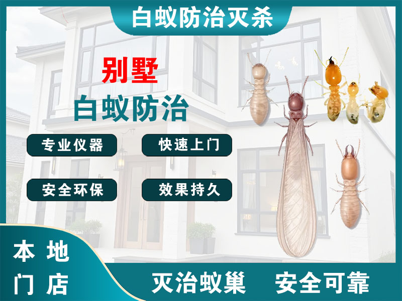 建德市别墅白蚁防治