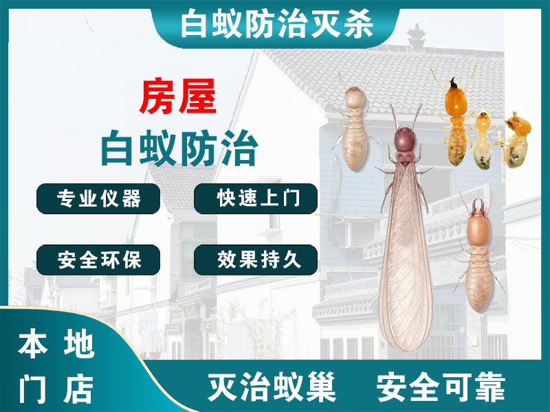 建德市房屋白蚁防治